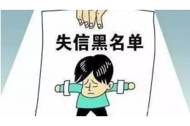 晋城债务清欠服务